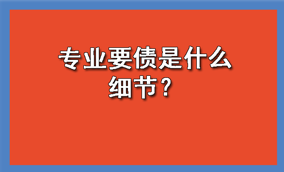 专业要债是什么细节？?